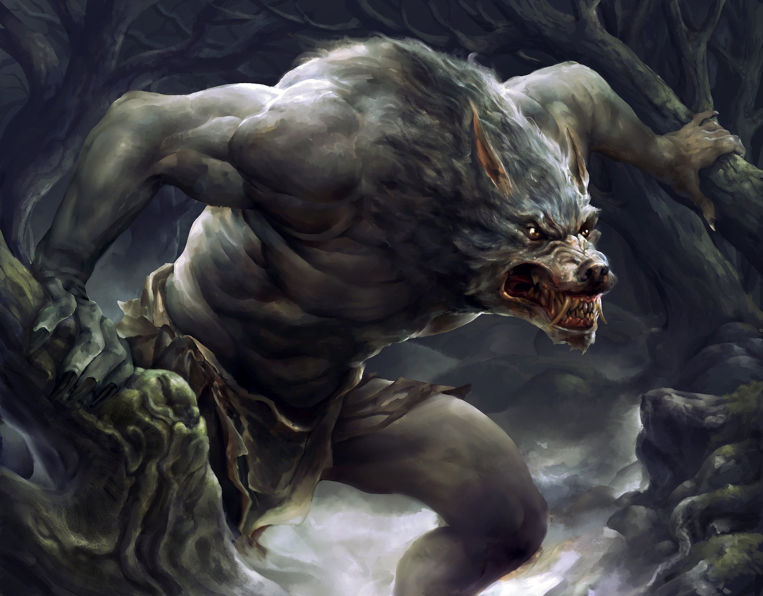 The Beautiful Works of Nikola Matkovic