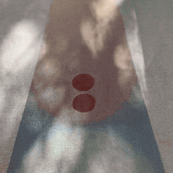 Untitled.gifcask.2021-12-23 14_25_57.gif