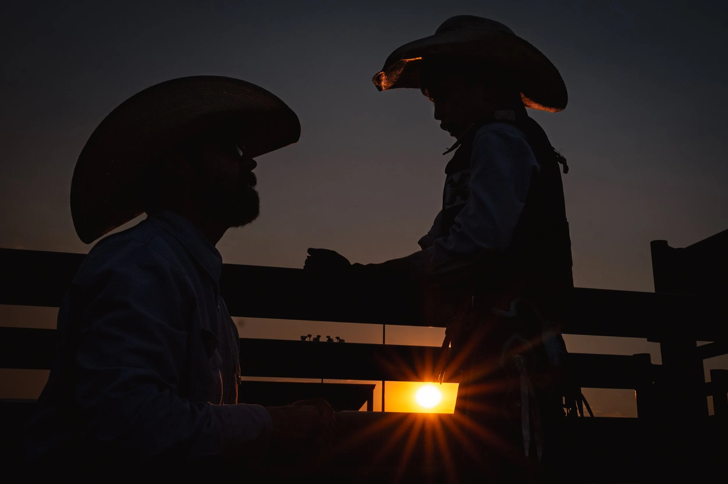 Laramie County Fair (Wyoming Tribune Eagle Newspaper)