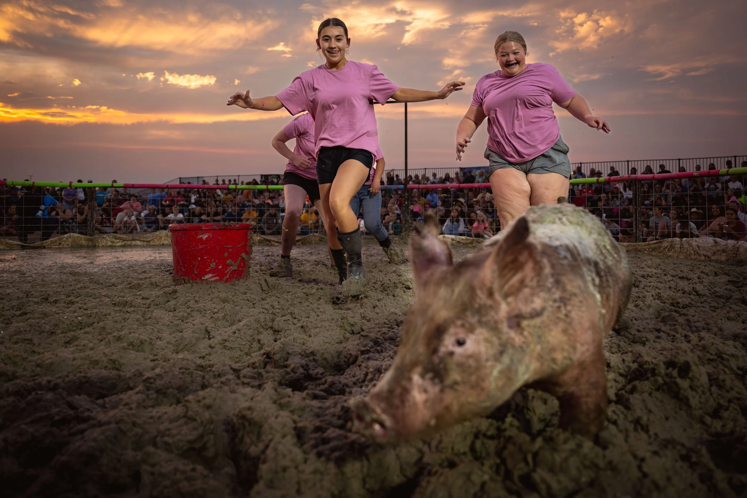Laramie County Fair (Wyoming Tribune Eagle Newspaper)