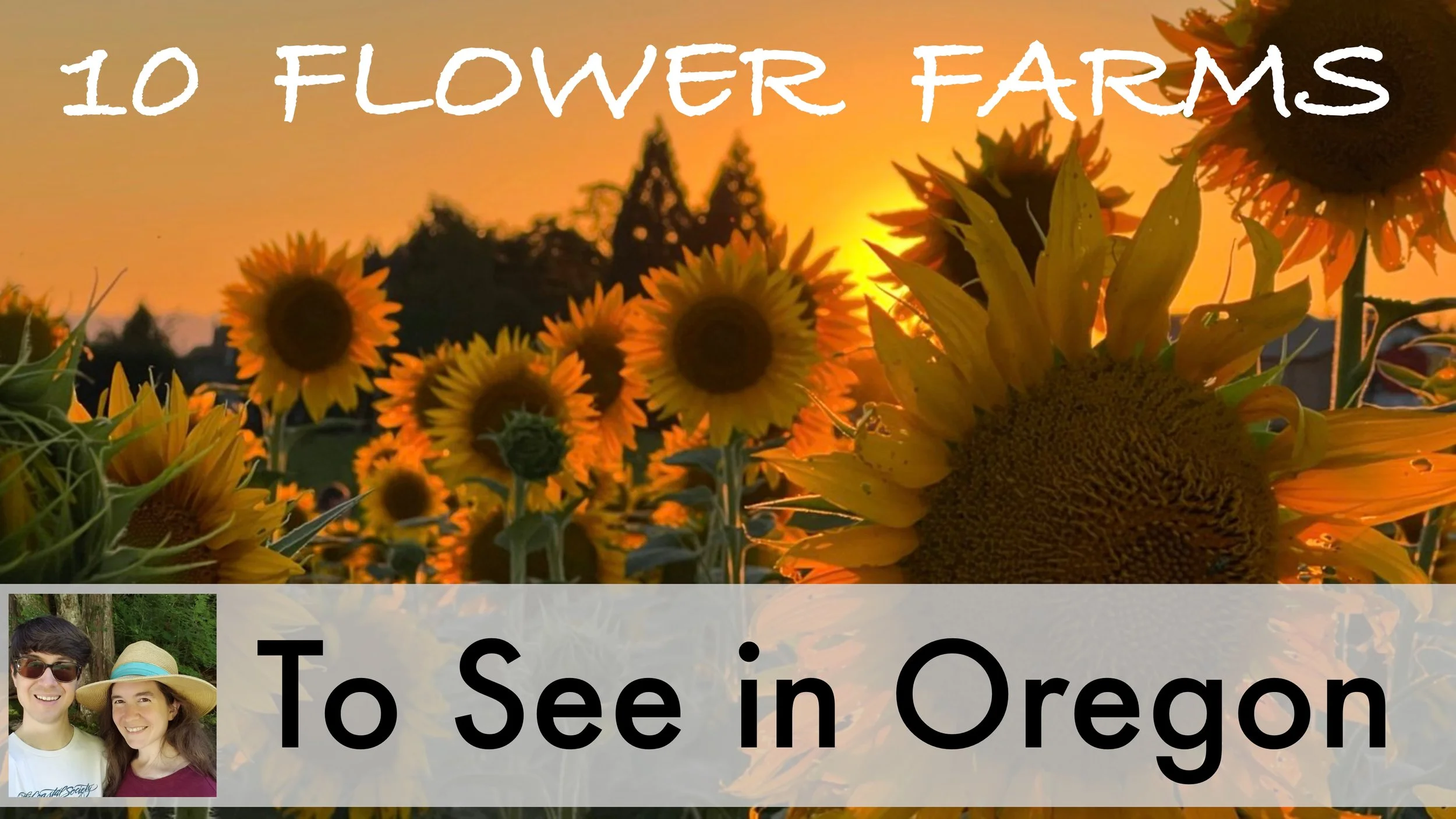 Guide to 10 Fabulous Flower Farms and Gardens in Oregon — Adventures