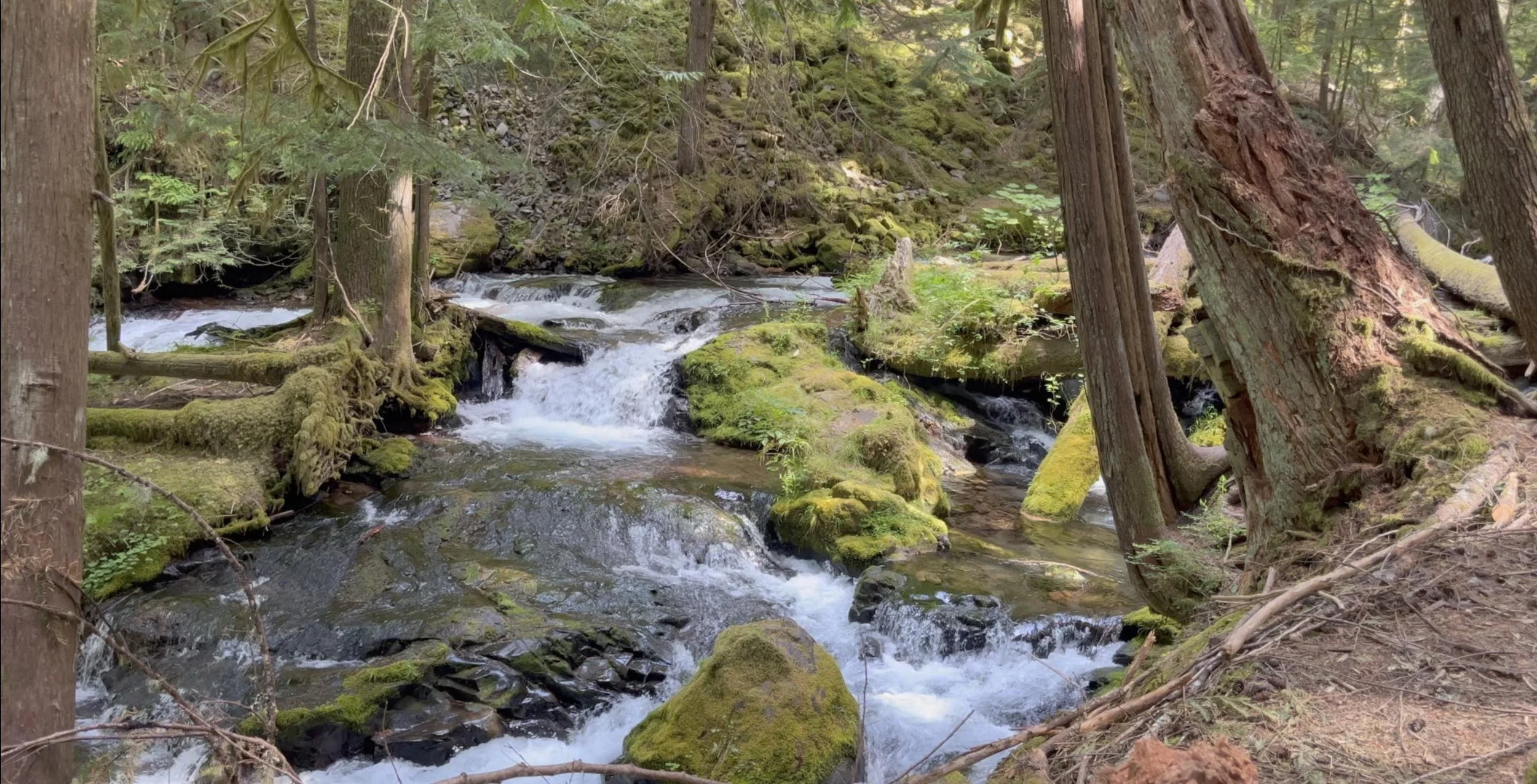 Panther Creek Falls Gifford Pinchot National Forest Waterfalls