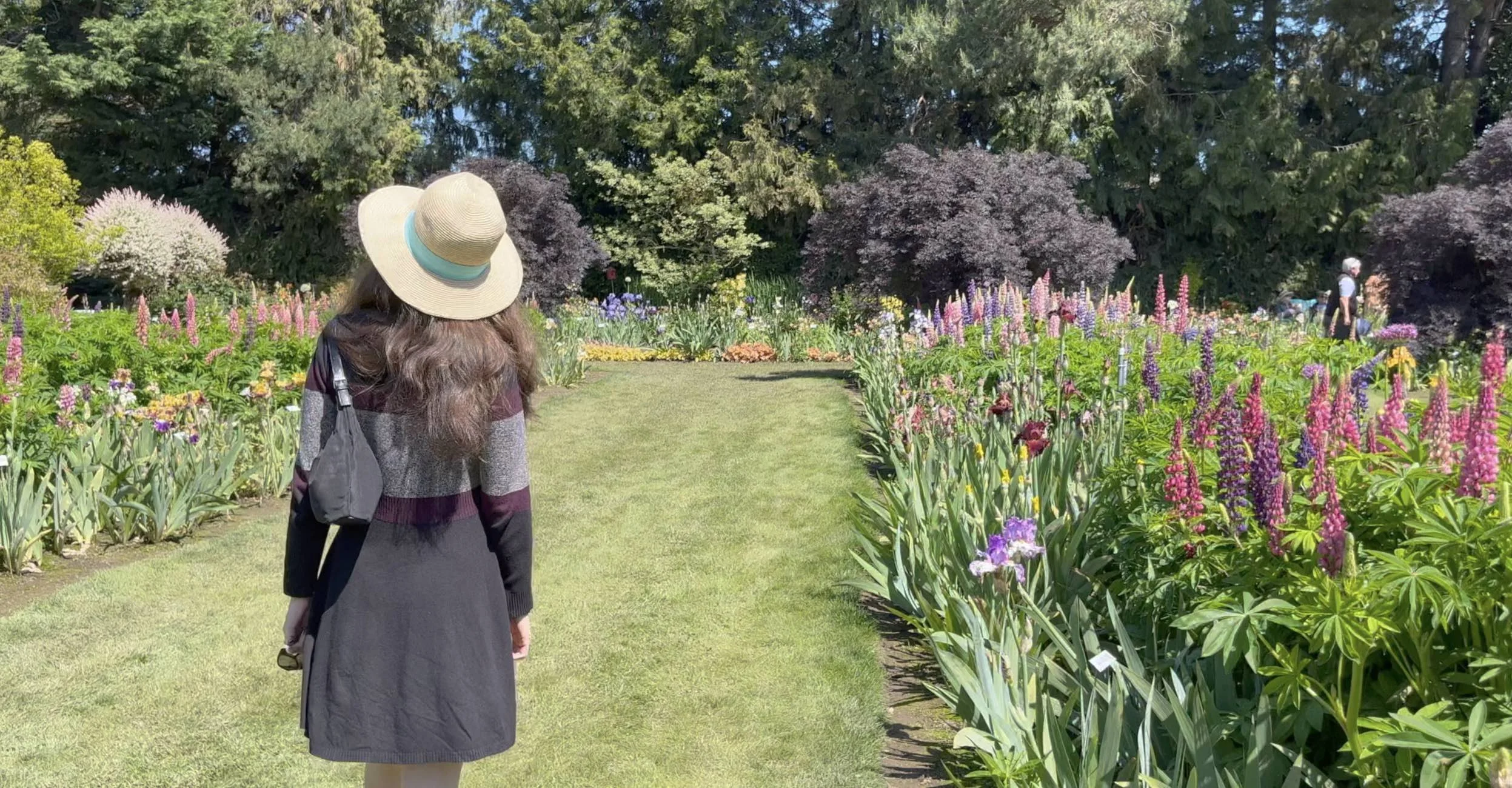 An Iris Garden for your Oregon Flower Farms Itinerary — Adventures with