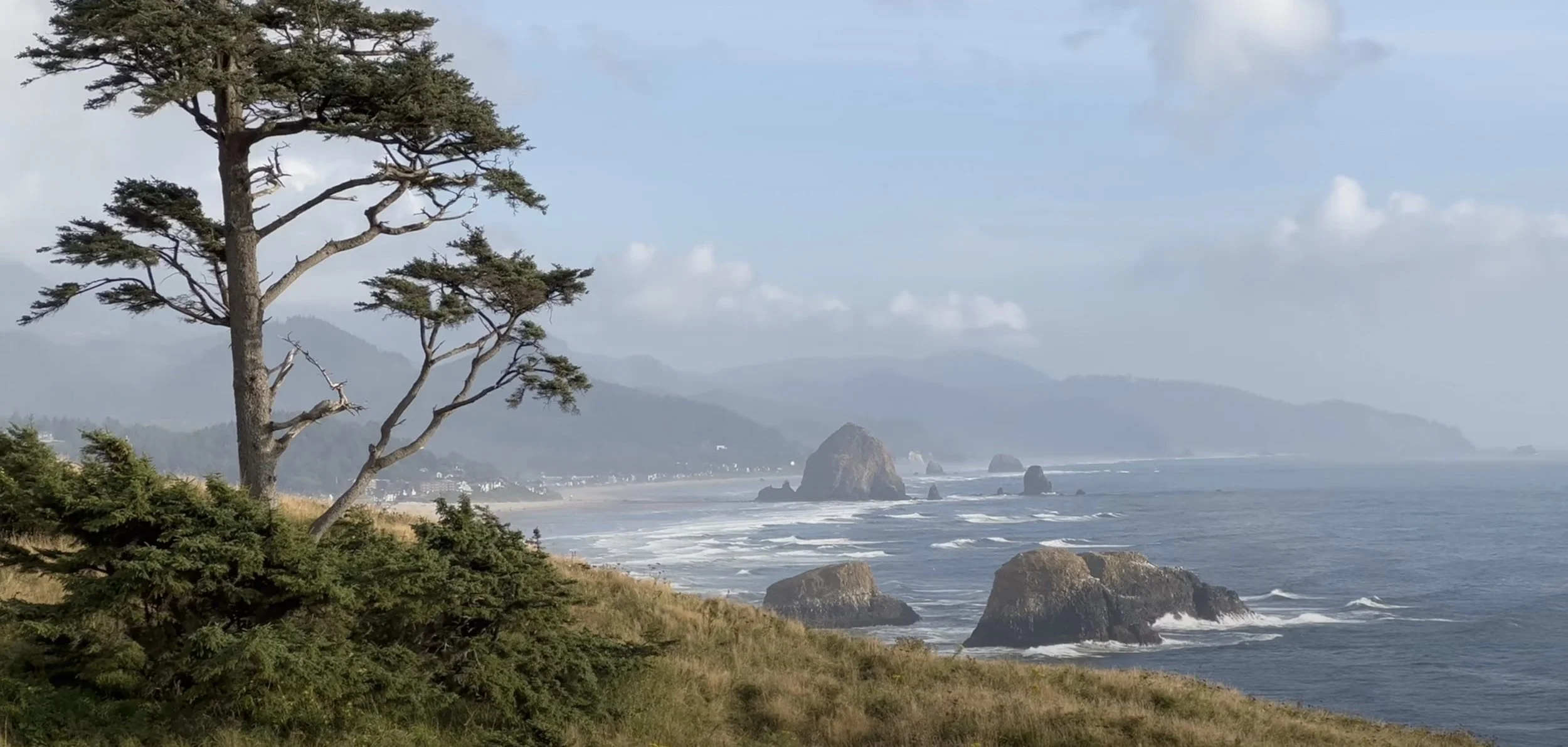 The Indian Beach Trail One of the Best Hikes Near Cannon Beach