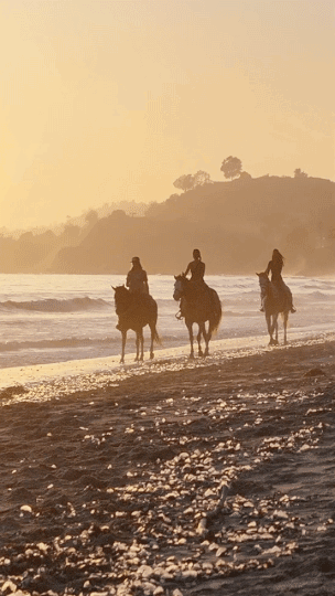 Endings + Beginnings