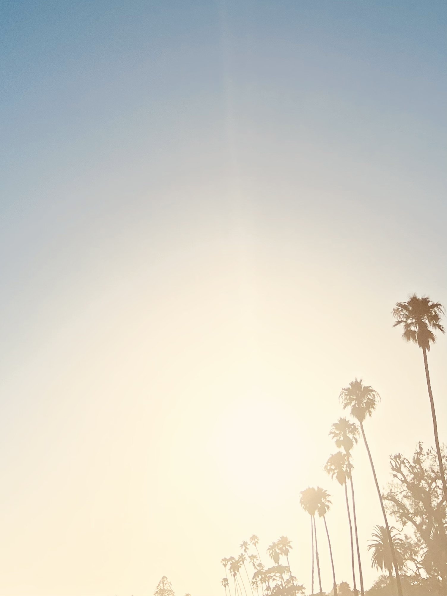 Summer as an Invitation