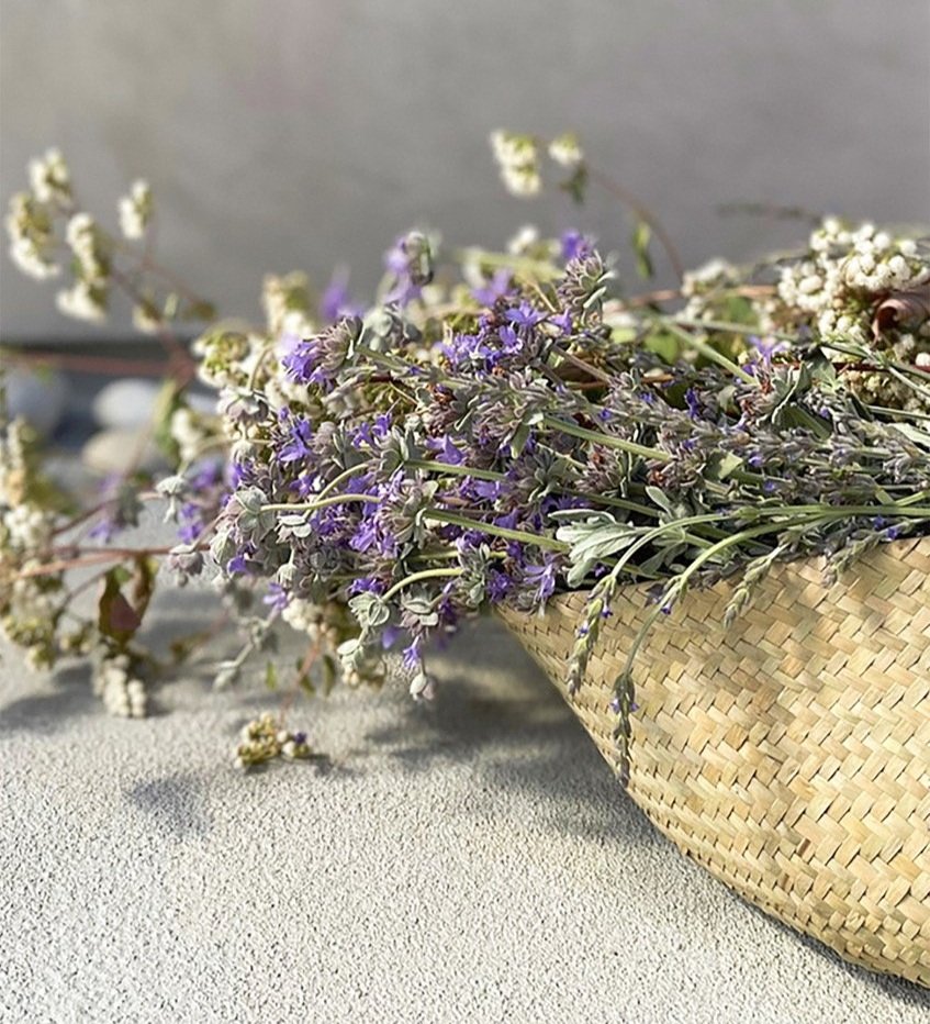 foraged+herbs+copy.jpg