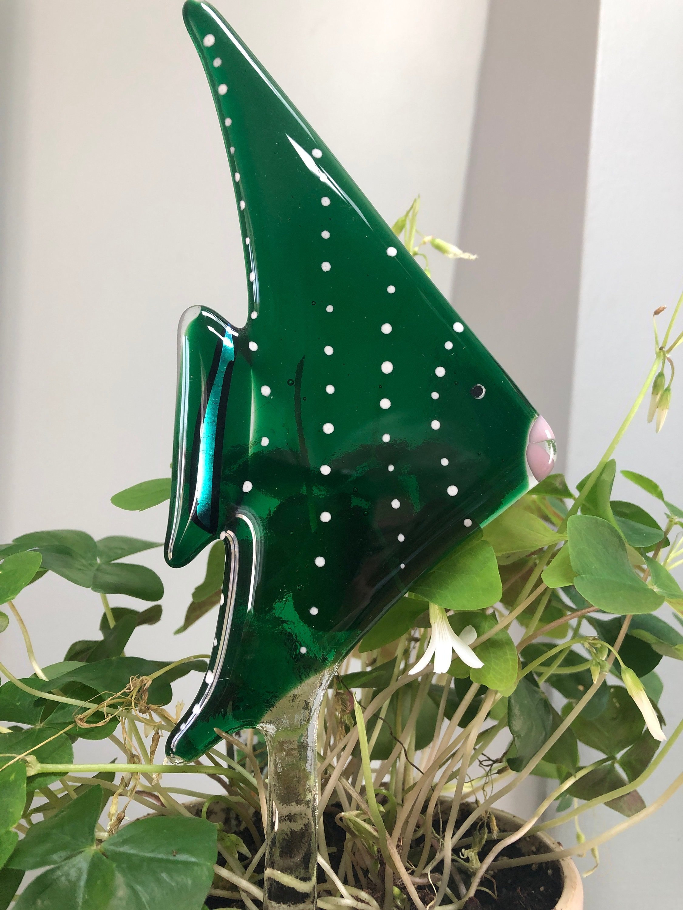 https://i.etsystatic.com/9806536/r/il/b50328/2988906079/il_fullxfull.2988906079_abre.jpg
