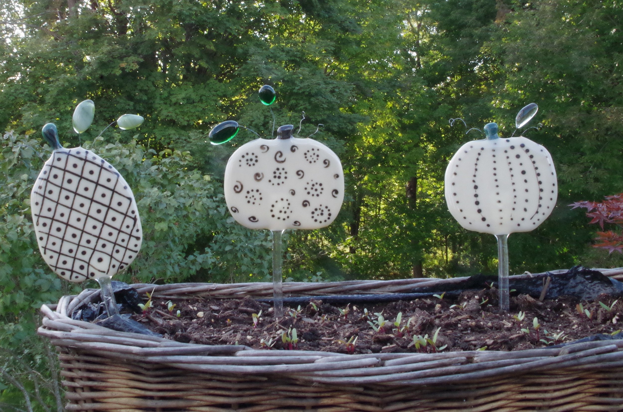 Pumpkins, Pumpkin Spice, Gourds, Scary, Halloween, Thanksgiving, Autumn, Gift under 30. Home décor, Holiday decorating. White pupkins