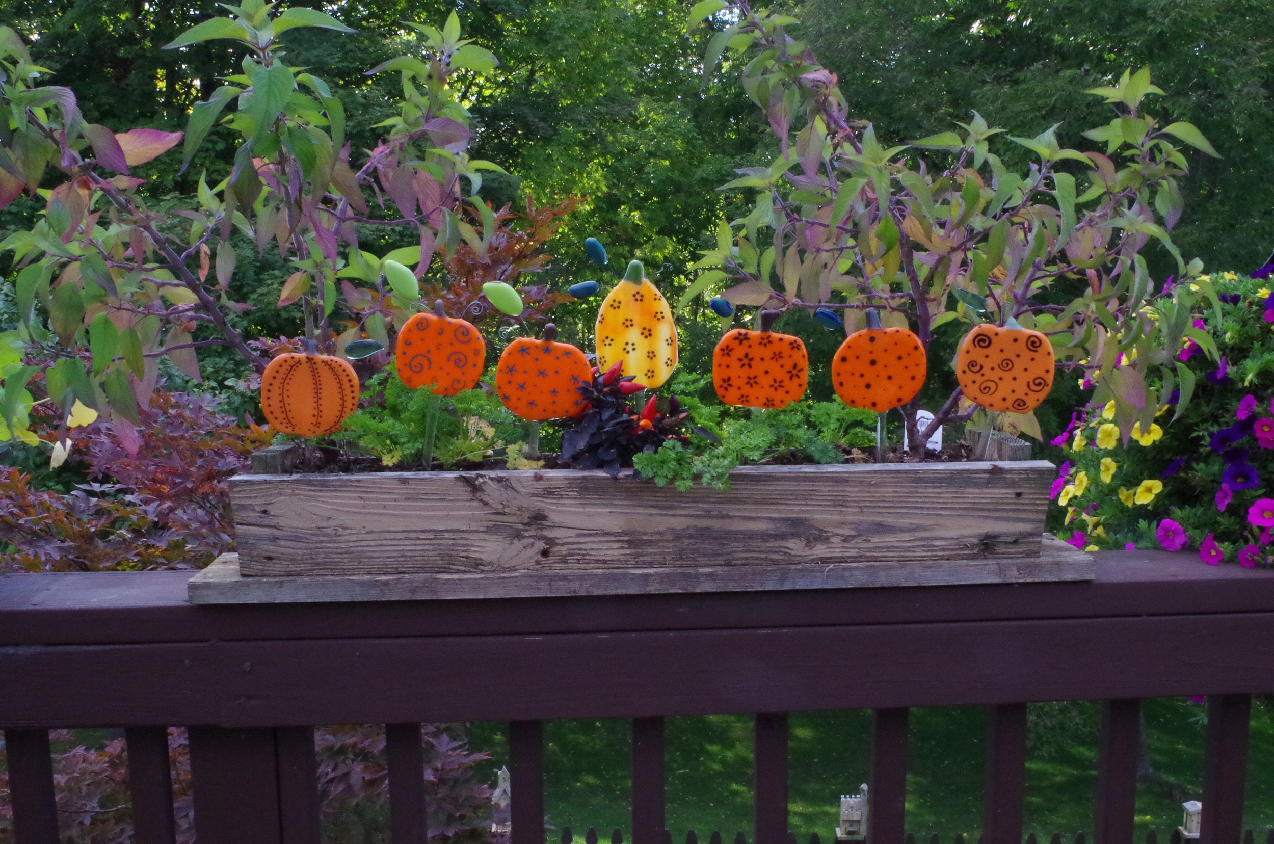 Pumpkins, Pumpkin Spice, Gourds, Scary, Halloween, Thanksgiving, Autumn, Gift under 30. Home décor, Holiday decorating