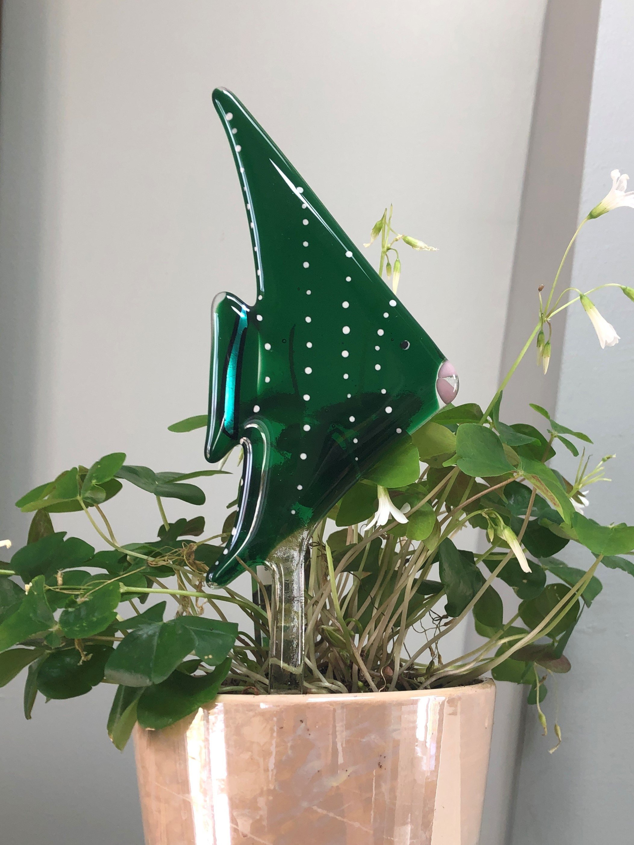 https://i.etsystatic.com/9806536/r/il/58a0c6/2941209502/il_fullxfull.2941209502_5o3y.jpg