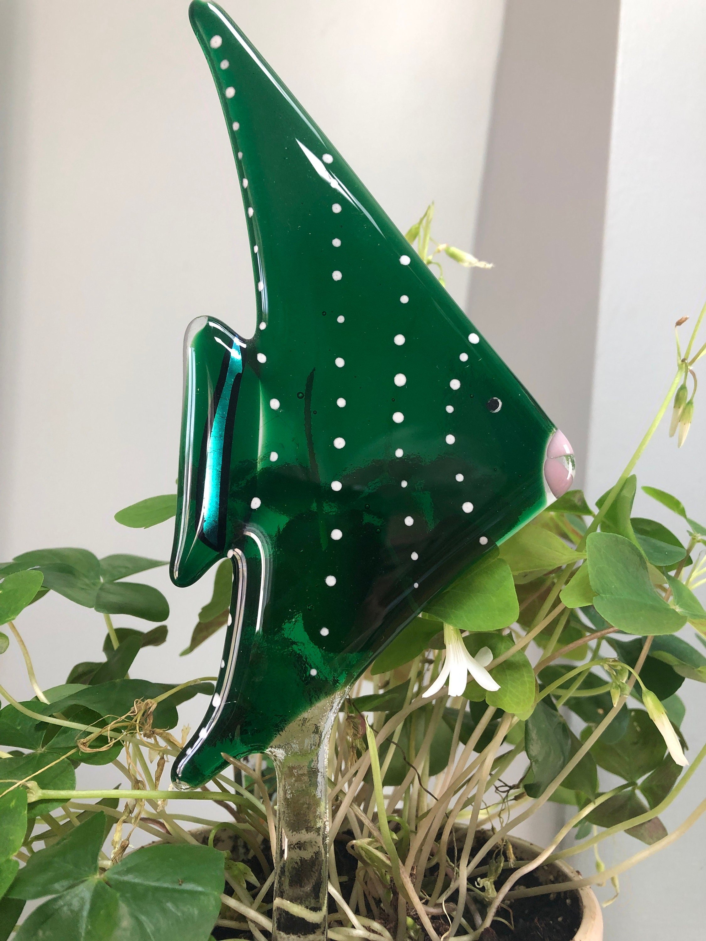 https://i.etsystatic.com/9806536/r/il/b50328/2988906079/il_fullxfull.2988906079_abre.jpg