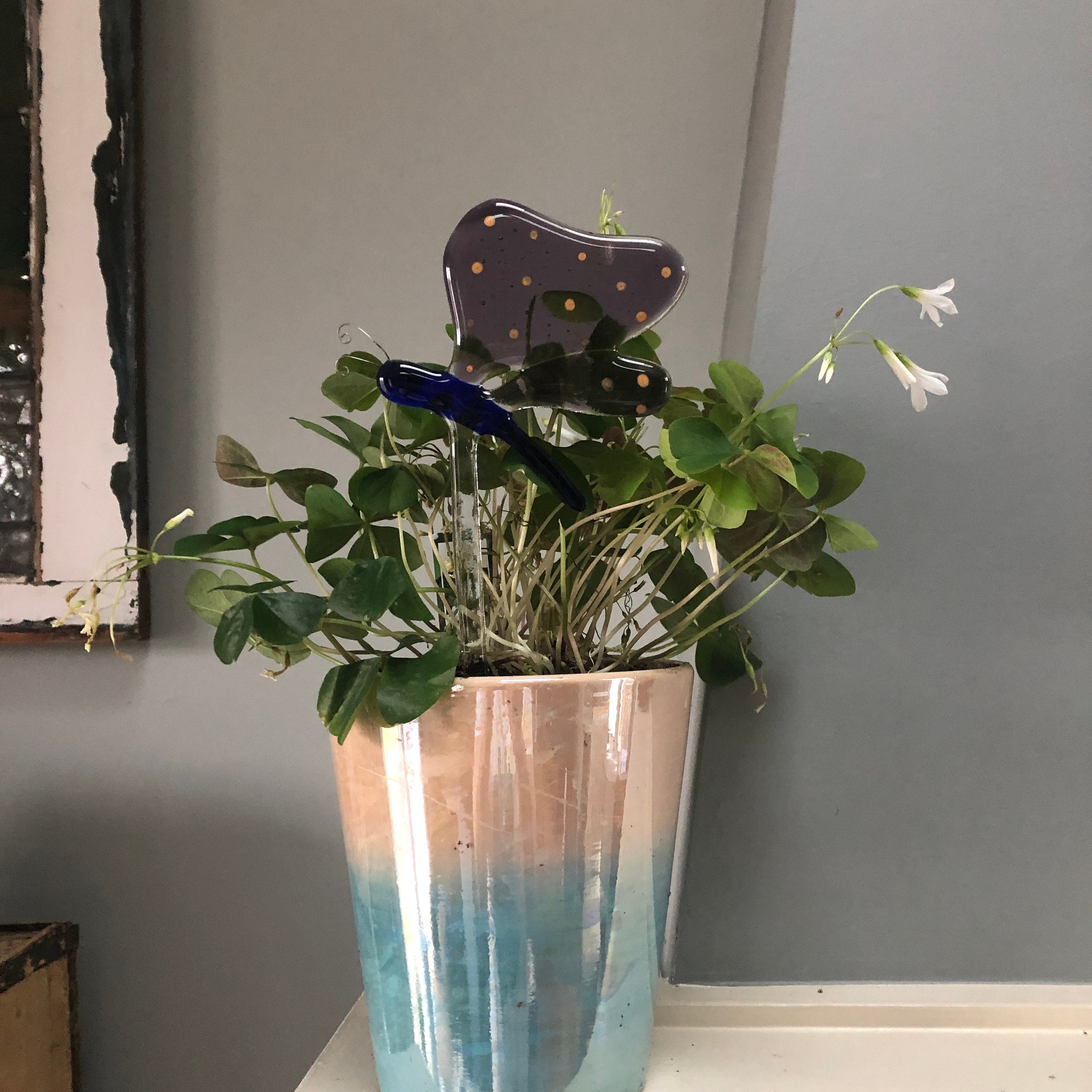 https://i.etsystatic.com/9806536/r/il/634373/2988388553/il_fullxfull.2988388553_a444.jpg