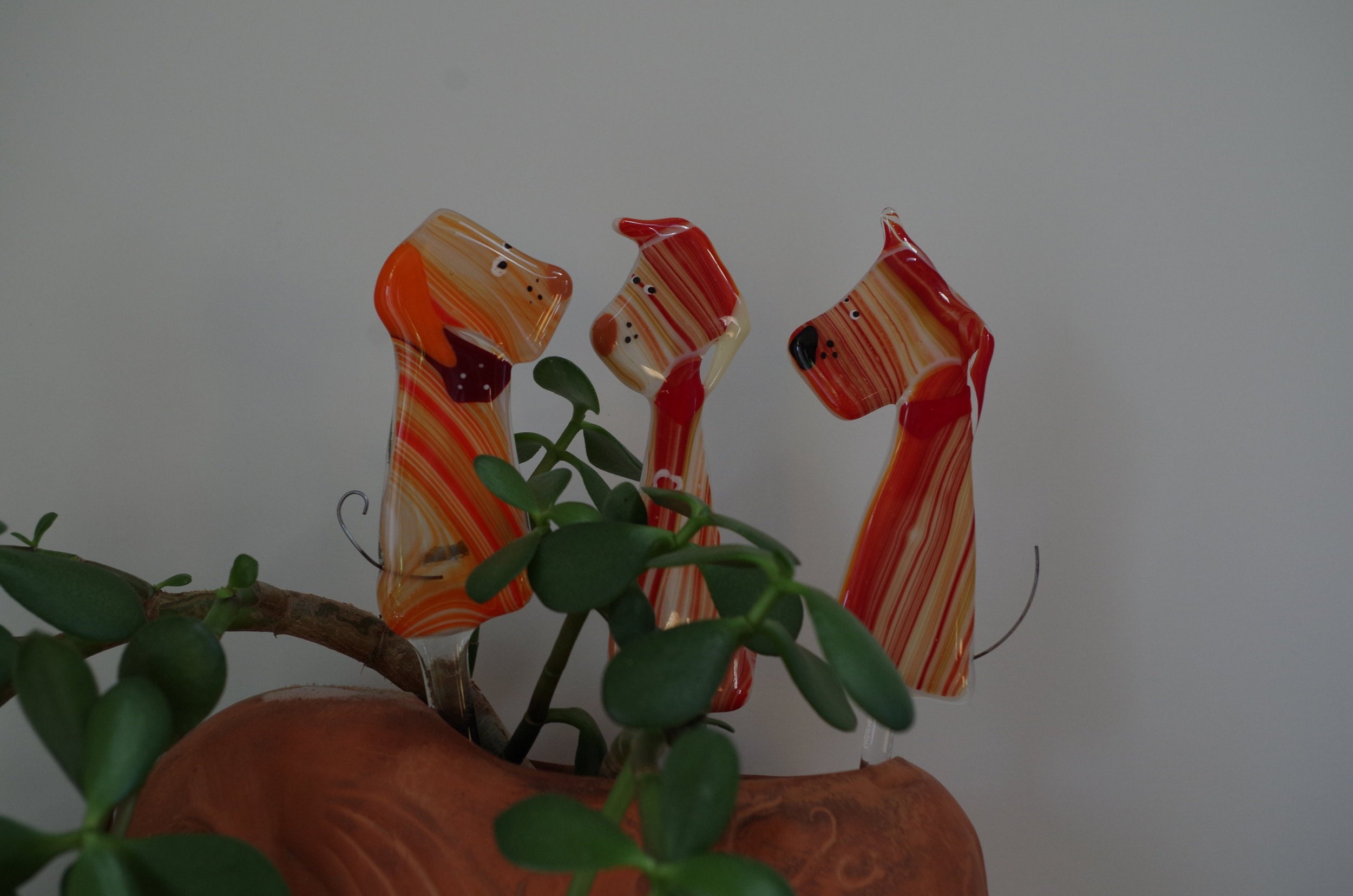https://i.etsystatic.com/9806536/r/il/f08a42/2255957560/il_fullxfull.2255957560_m4ke.jpg