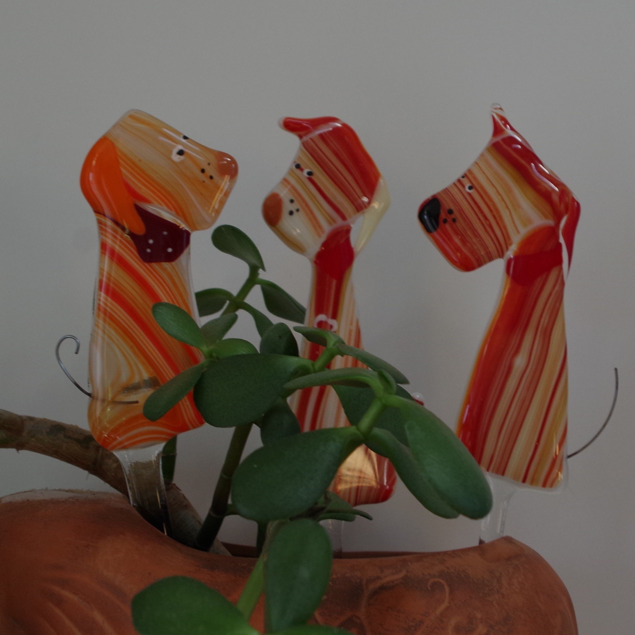 https://i.etsystatic.com/9806536/r/il/809334/2303563437/il_fullxfull.2303563437_b2pp.jpg