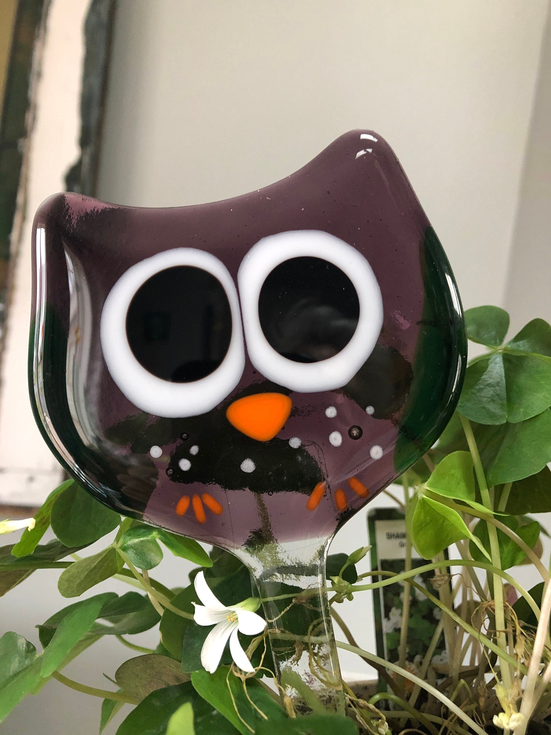 https://i.etsystatic.com/9806536/r/il/7dd961/2989092105/il_fullxfull.2989092105_rnw1.jpg