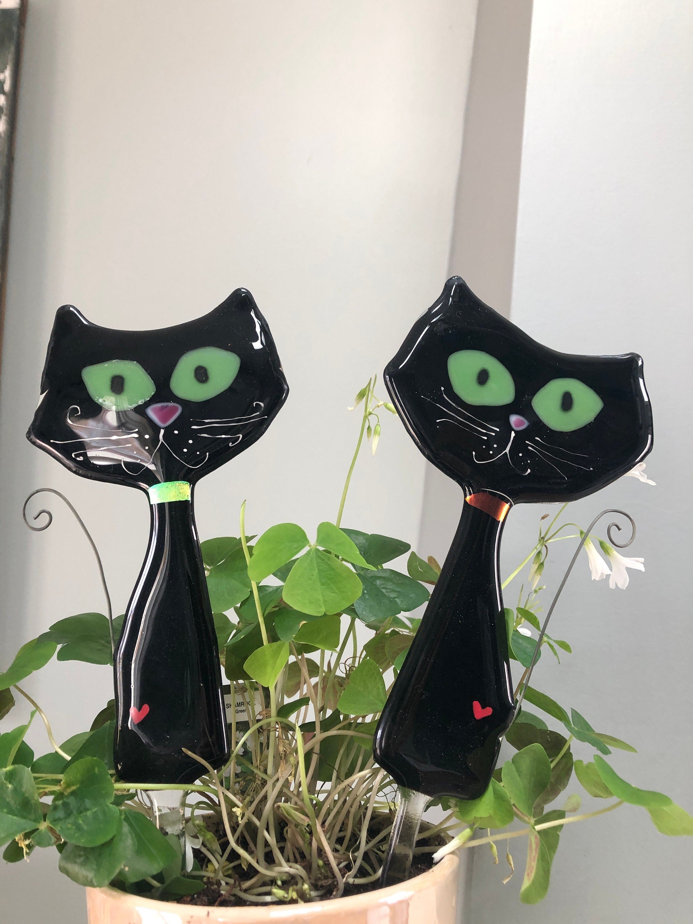 https://i.etsystatic.com/9806536/r/il/9d1b35/2989308915/il_fullxfull.2989308915_37fx.jpg