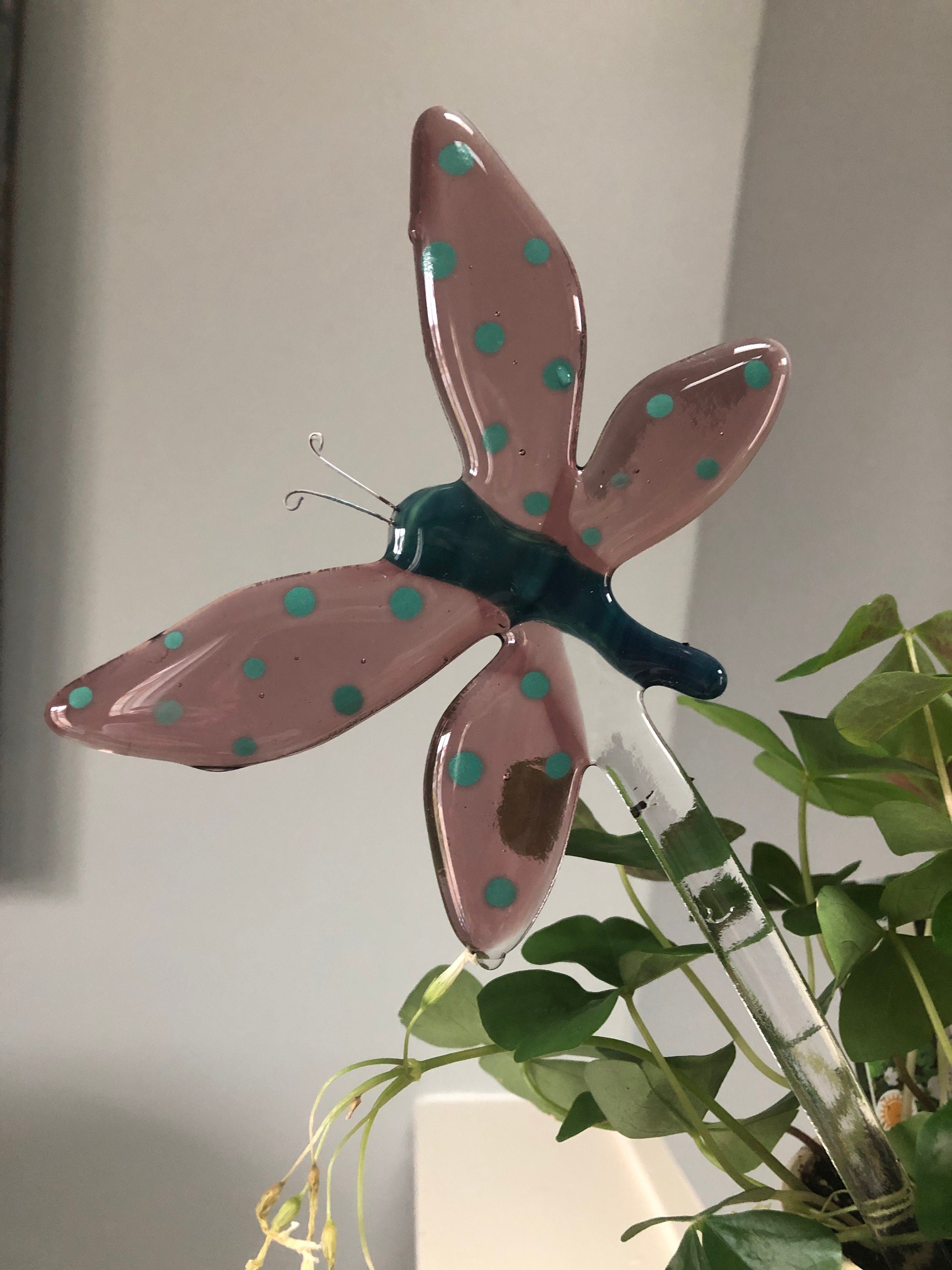 https://i.etsystatic.com/9806536/r/il/afb009/2988402613/il_fullxfull.2988402613_jm1k.jpg