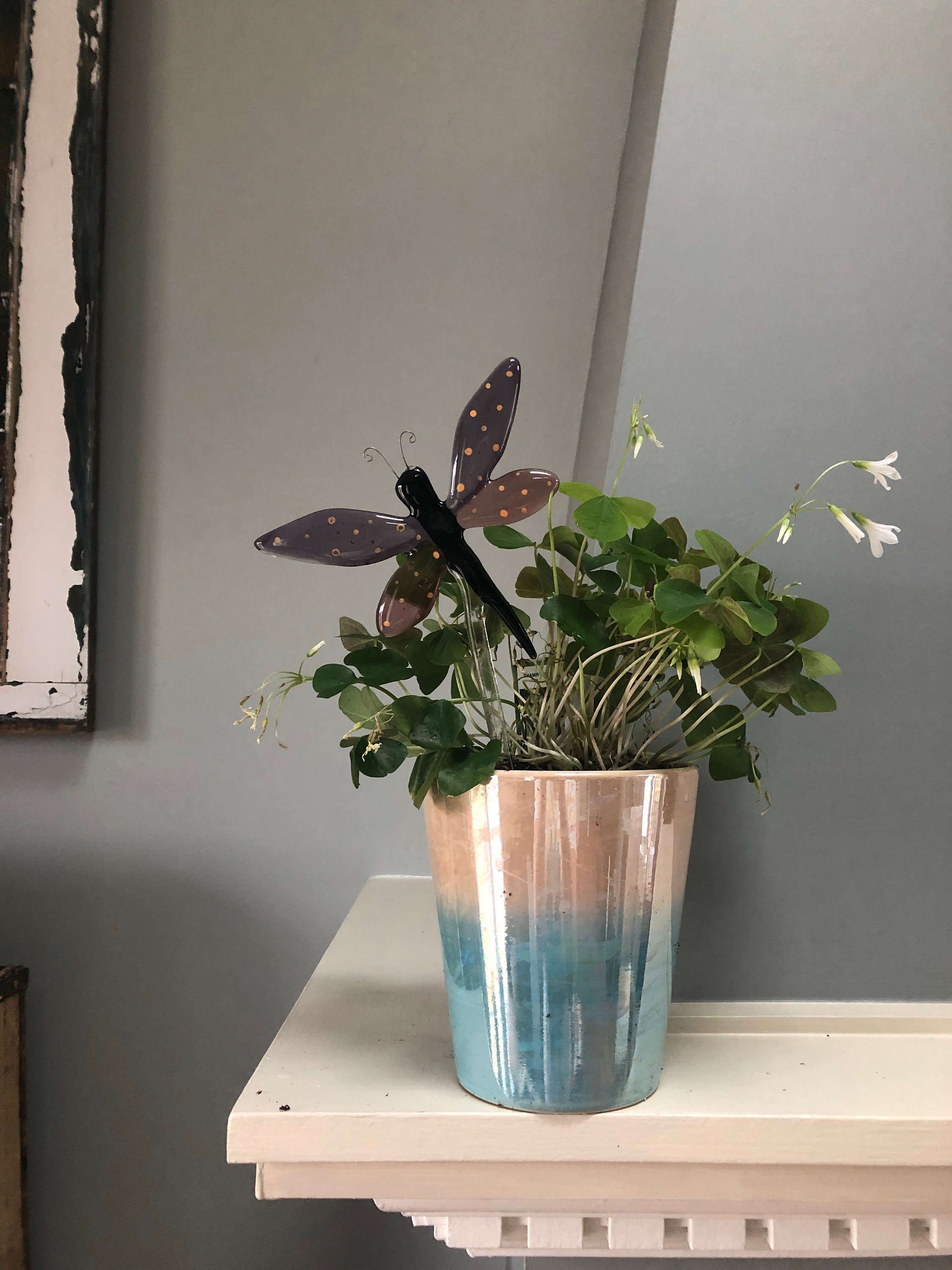 https://i.etsystatic.com/9806536/r/il/e1cb8d/2988402719/il_fullxfull.2988402719_69hm.jpg