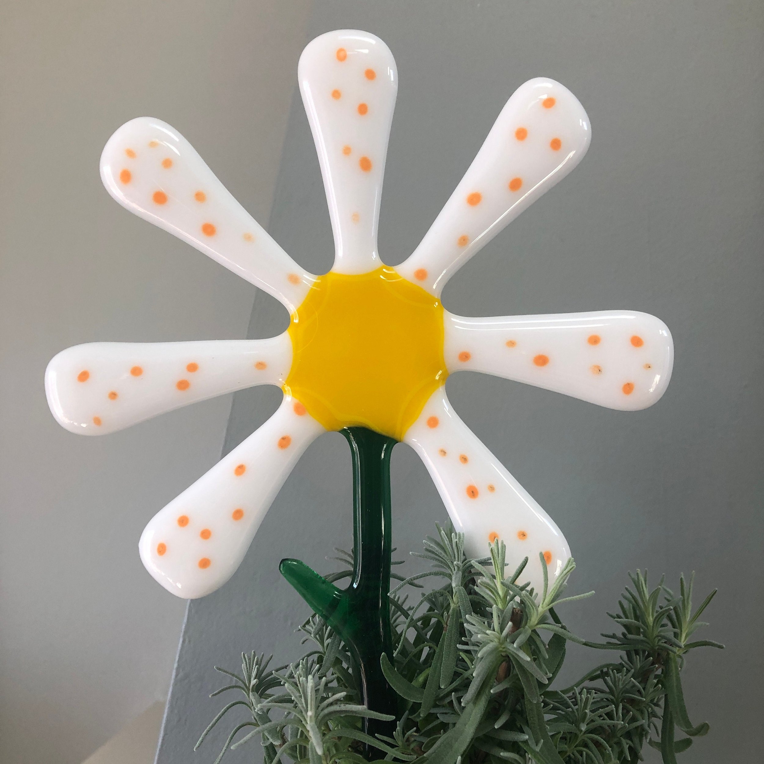 https://i.etsystatic.com/9806536/r/il/2cf7dc/2939536492/il_fullxfull.2939536492_kmhm.jpg