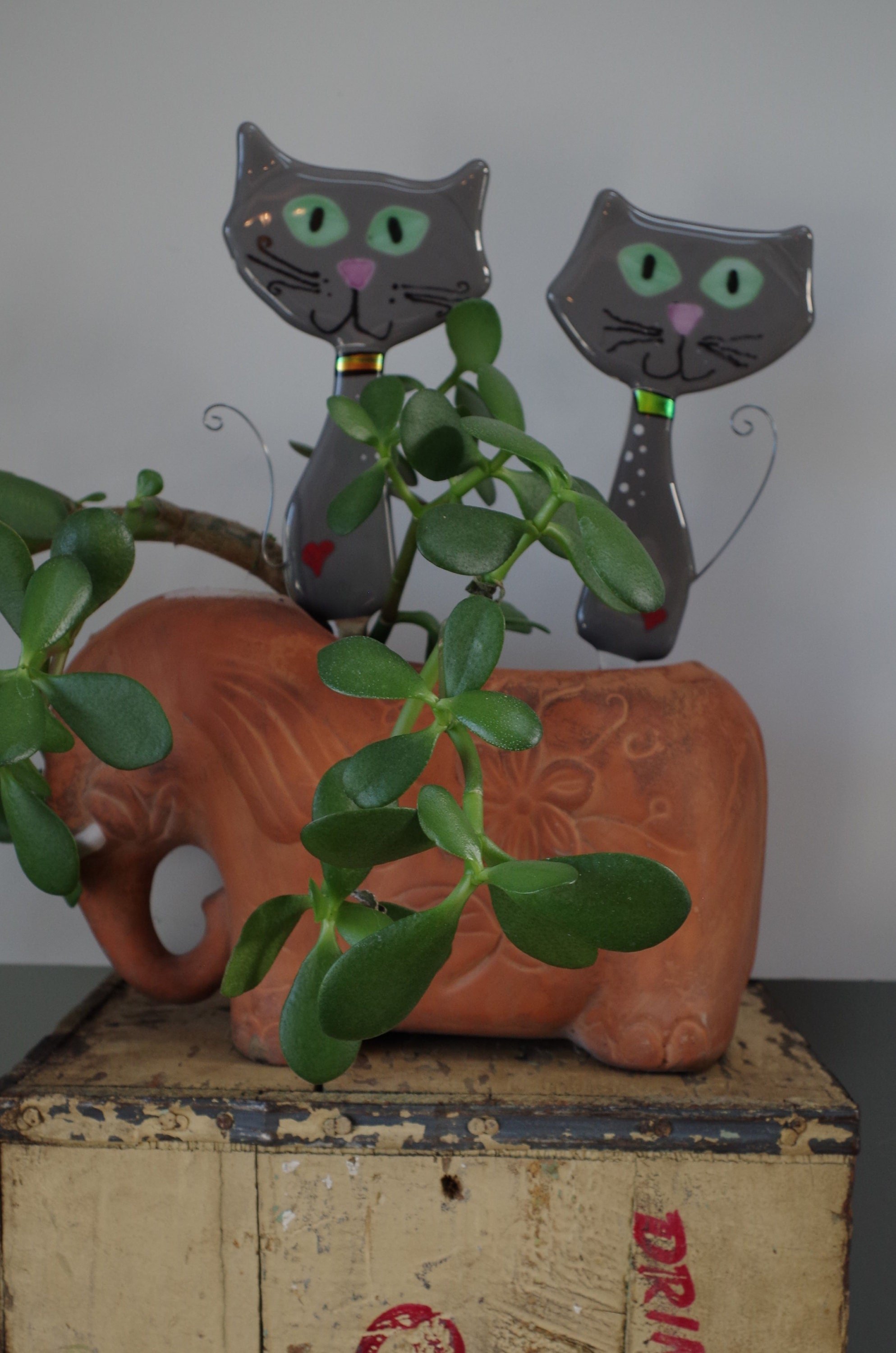 https://i.etsystatic.com/9806536/r/il/8bc3e4/2300956771/il_fullxfull.2300956771_o3y1.jpg