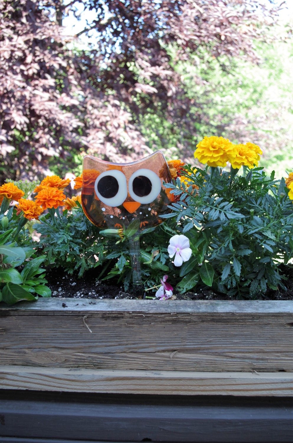 https://i.etsystatic.com/9806536/r/il/18022b/1056776225/il_fullxfull.1056776225_1rqt.jpg