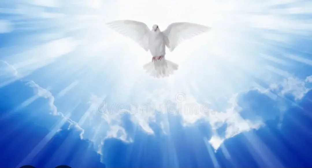 Akashic Records/Past Life Session