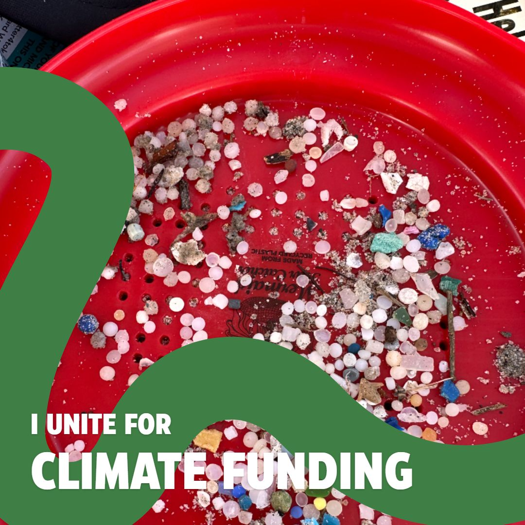 act4sdg (3).png