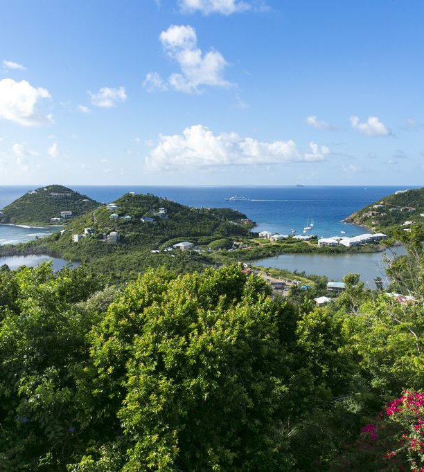 About St John USVI — Blue Agave Villa Chocolate Hole St. John USVI