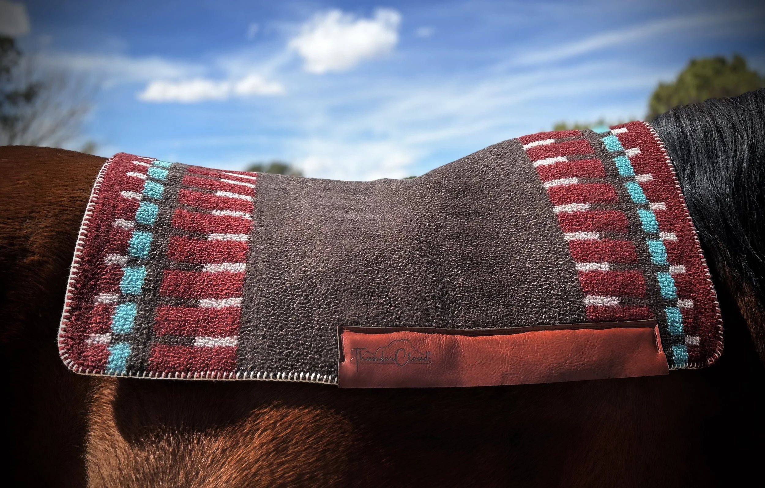 Variation of Cats at the Bar