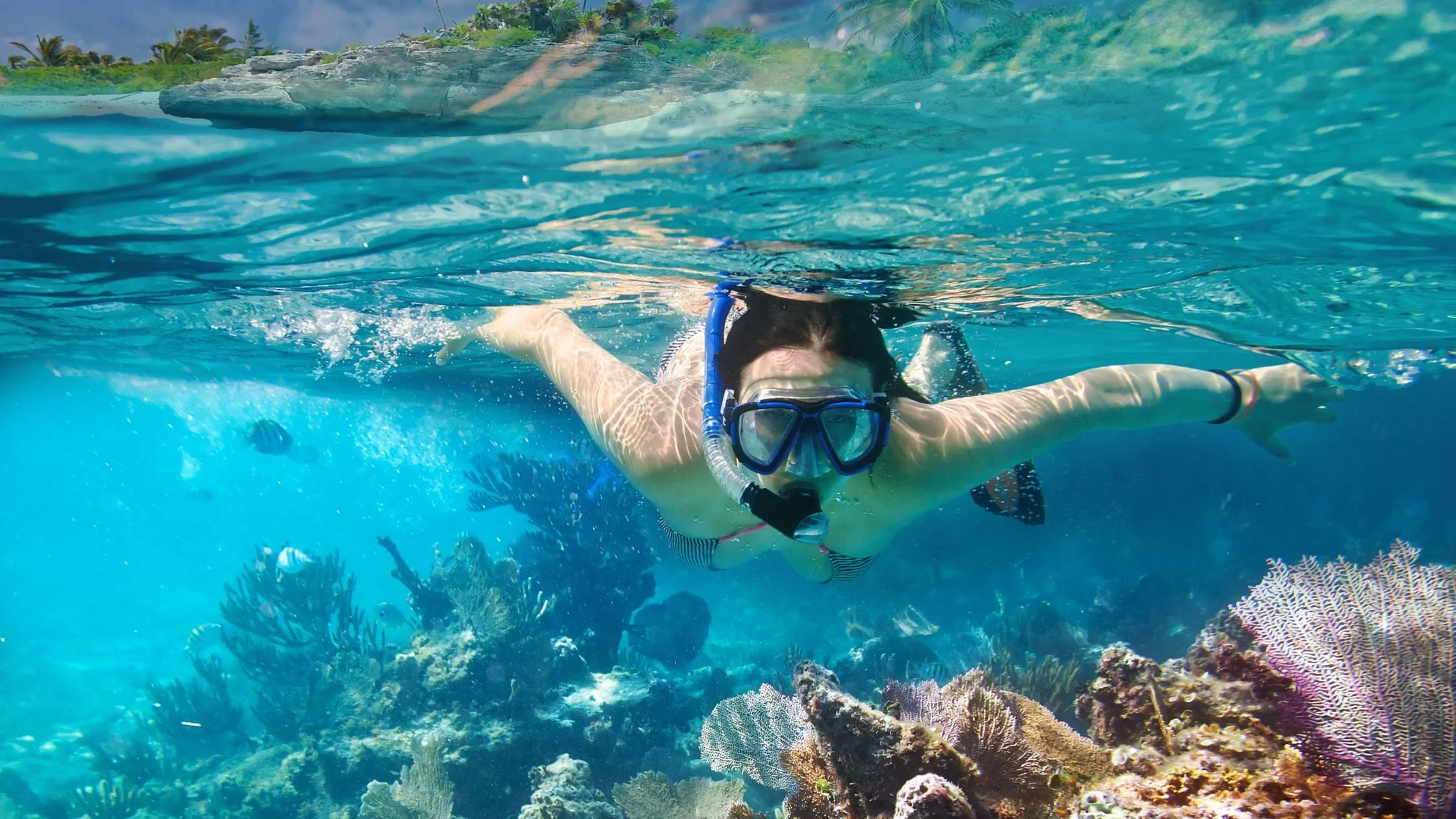 snorkel.jpg