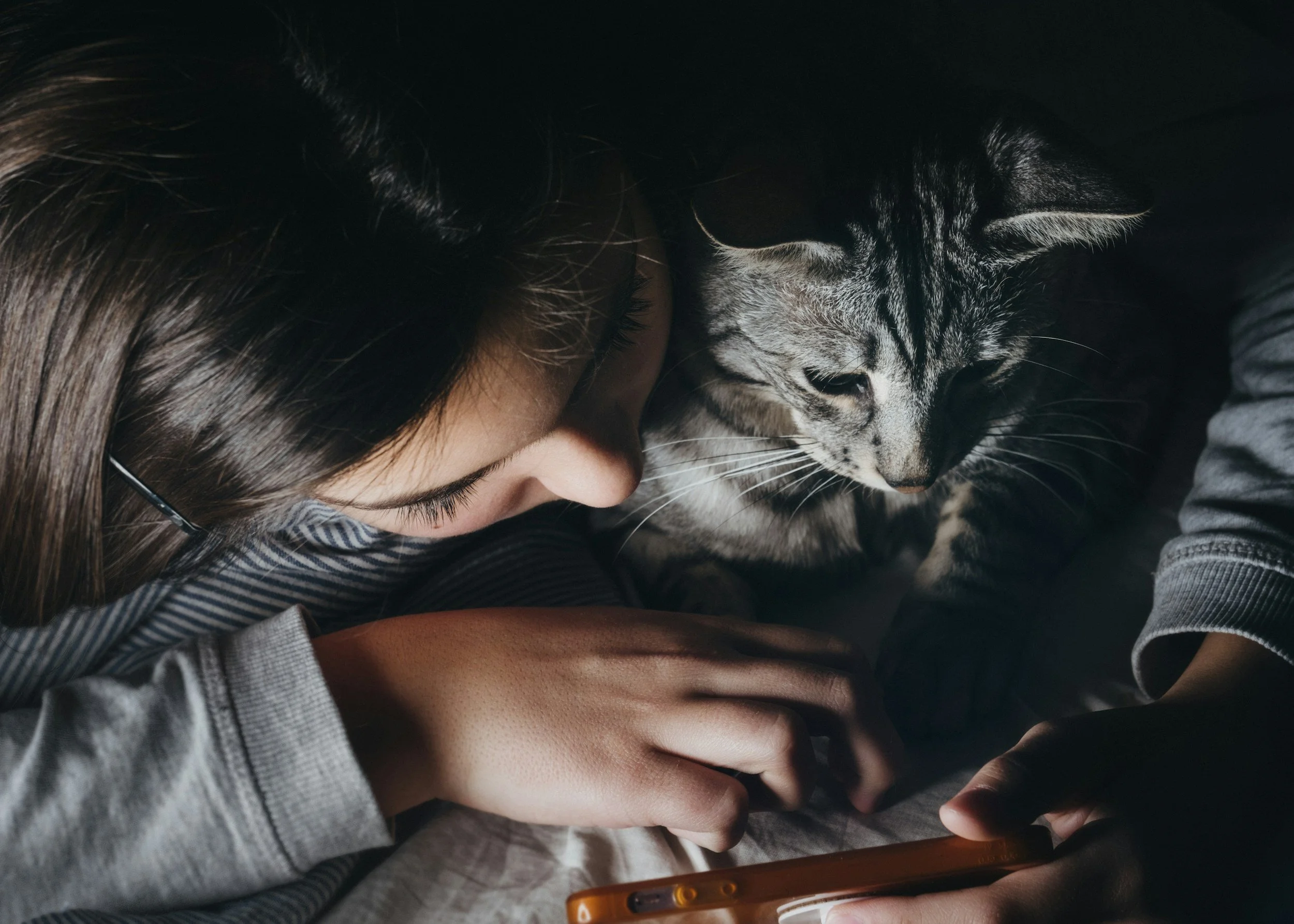 Person and tabby cat closely looking at a smartphone screen in dim light.