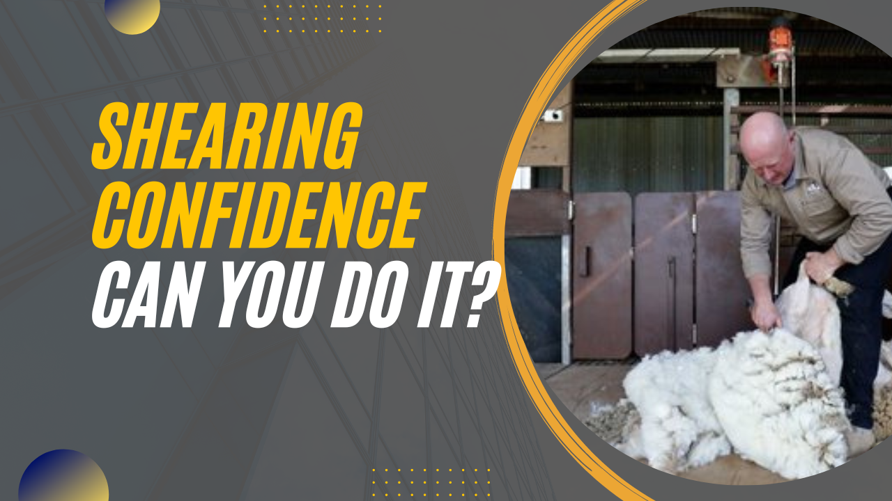 Sheep Shearing Blade Sharpening Comb and Cutter Grinder Gear Grinding