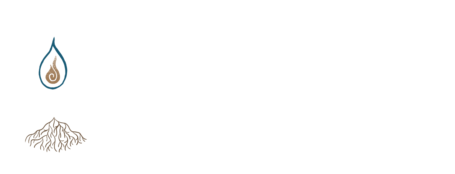 Planting Seeds, Weaving Medicines