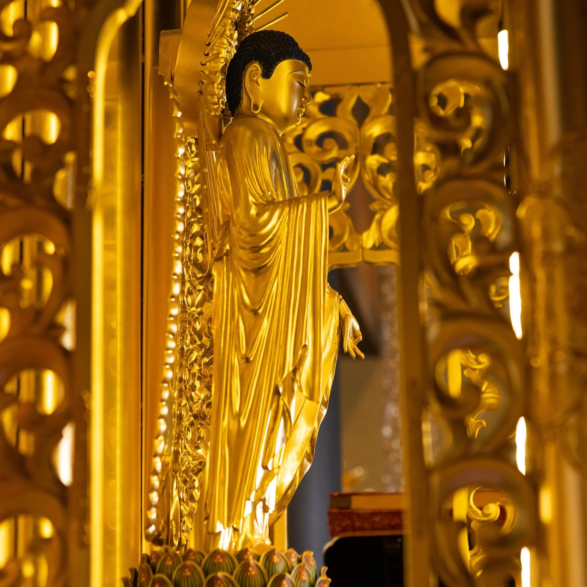 Part II: Practicing in a World Without a Living Buddha