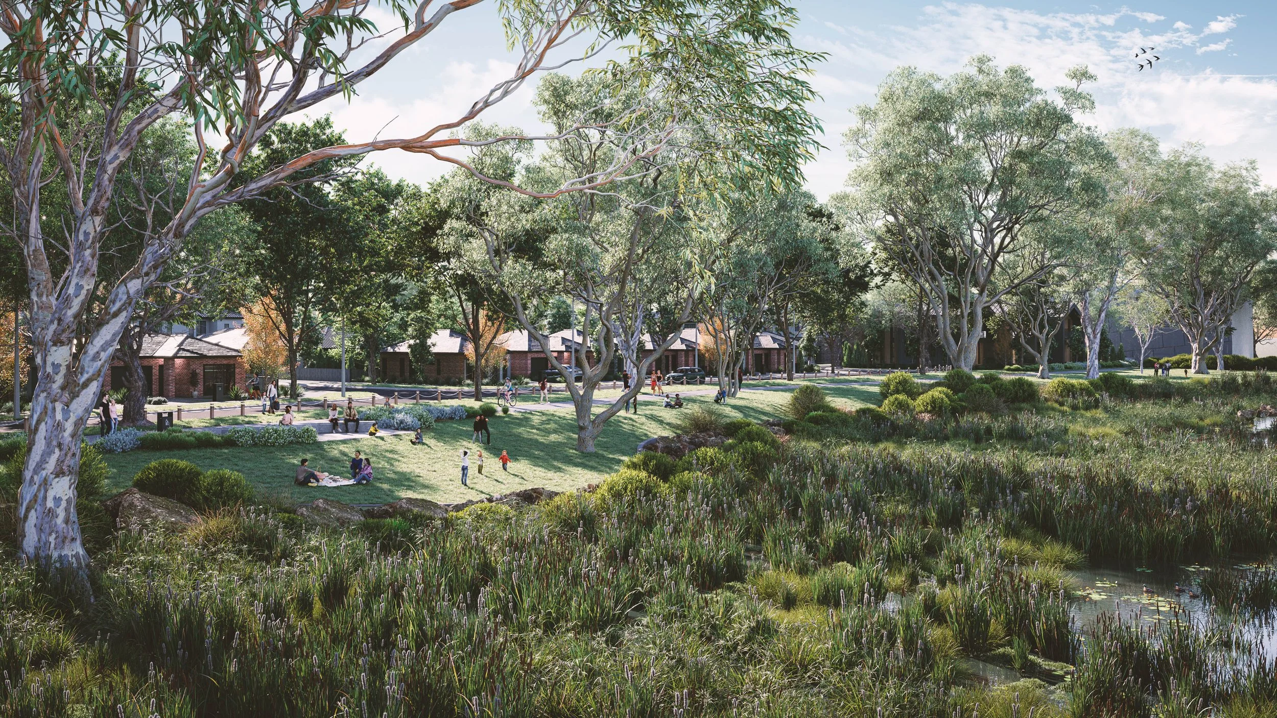 watsons_reach_view_wetland.jpg