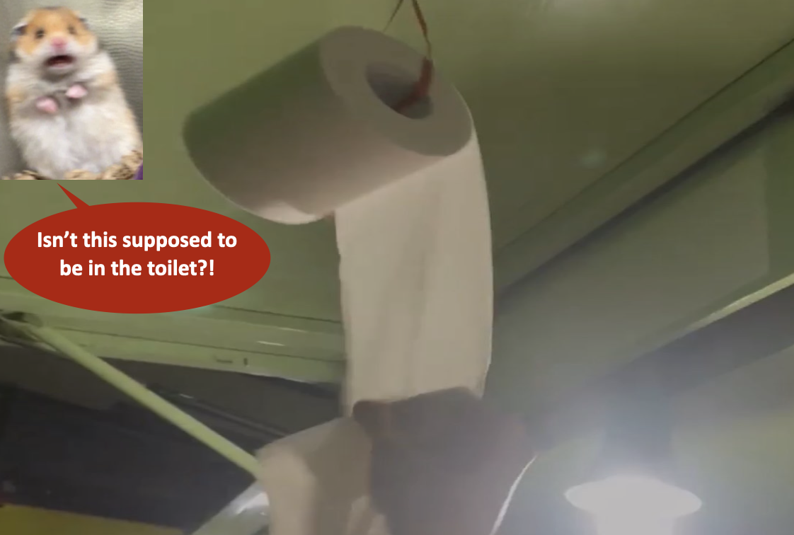 Why Do Koreans Put Toilet Paper on the Dining Table?