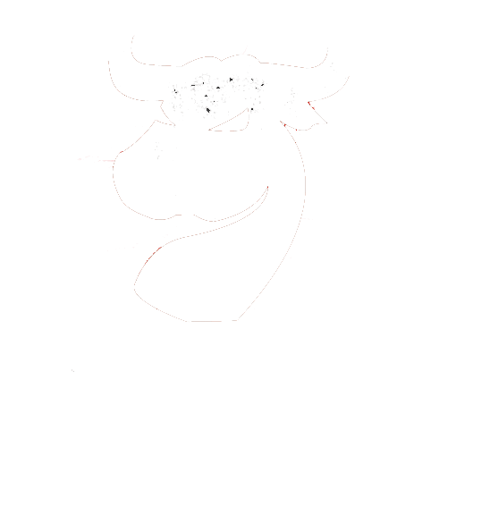 Black Ox logo 2021_White.png