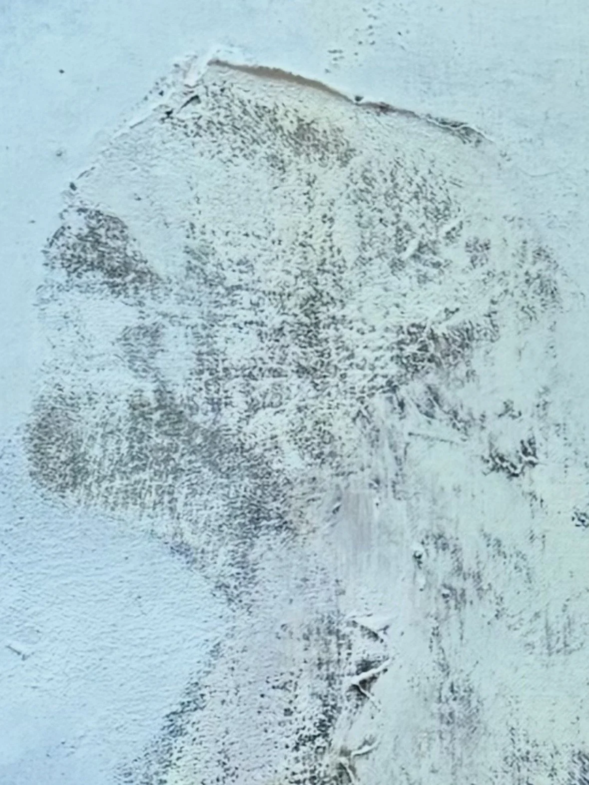 THE FORTUITIST NILS PEDERSEN I.jpg