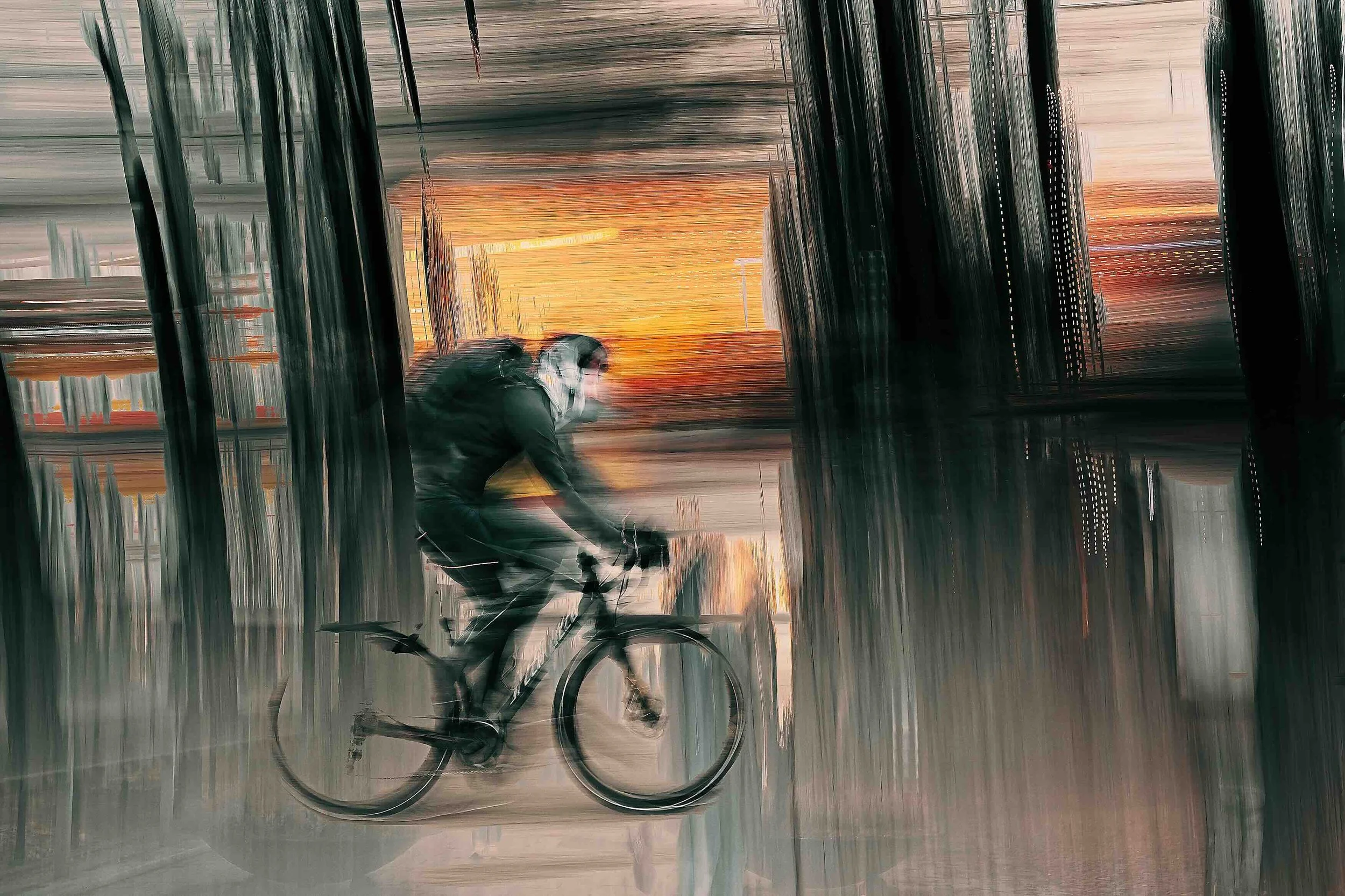 ECLIPSE OF MOTION | DOUGLAS CARR