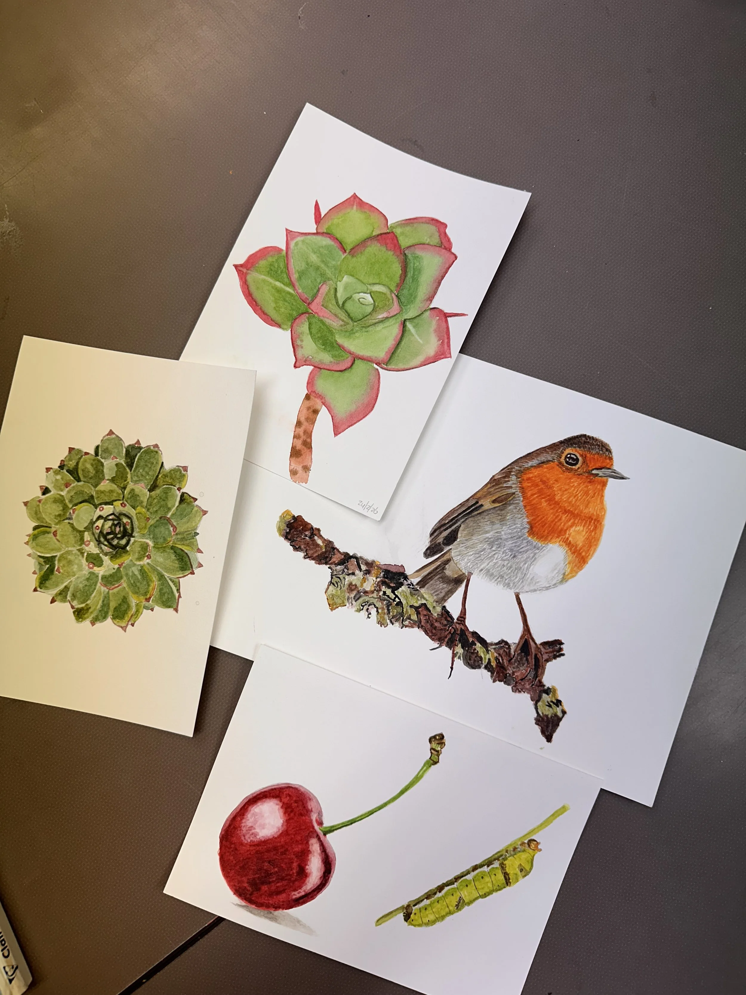 aquarel les volwassenen