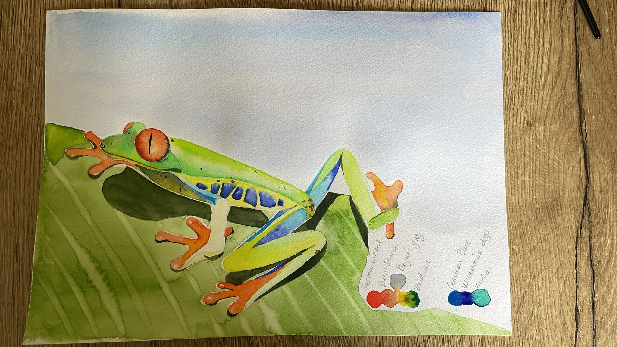 cursistenwerk aquarel vervolg cursus voorjaar 2026