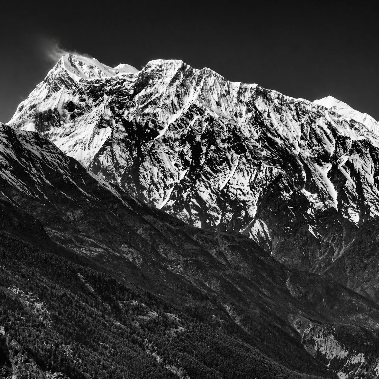 Black and white photograph of a snow-capped mountain range with rugged peaks and forested slopes.
