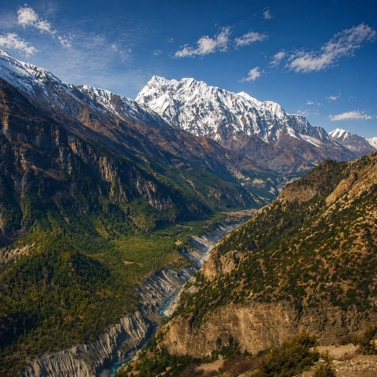 Scenic view of a mountain range with snow-capped peaks, green forests, and a river flowing through the valley.