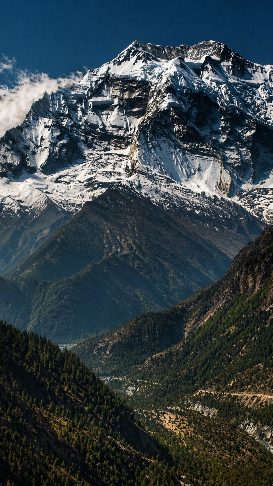 Snow-capped mountain with sharp peaks and forested green slopes under a clear blue sky.
