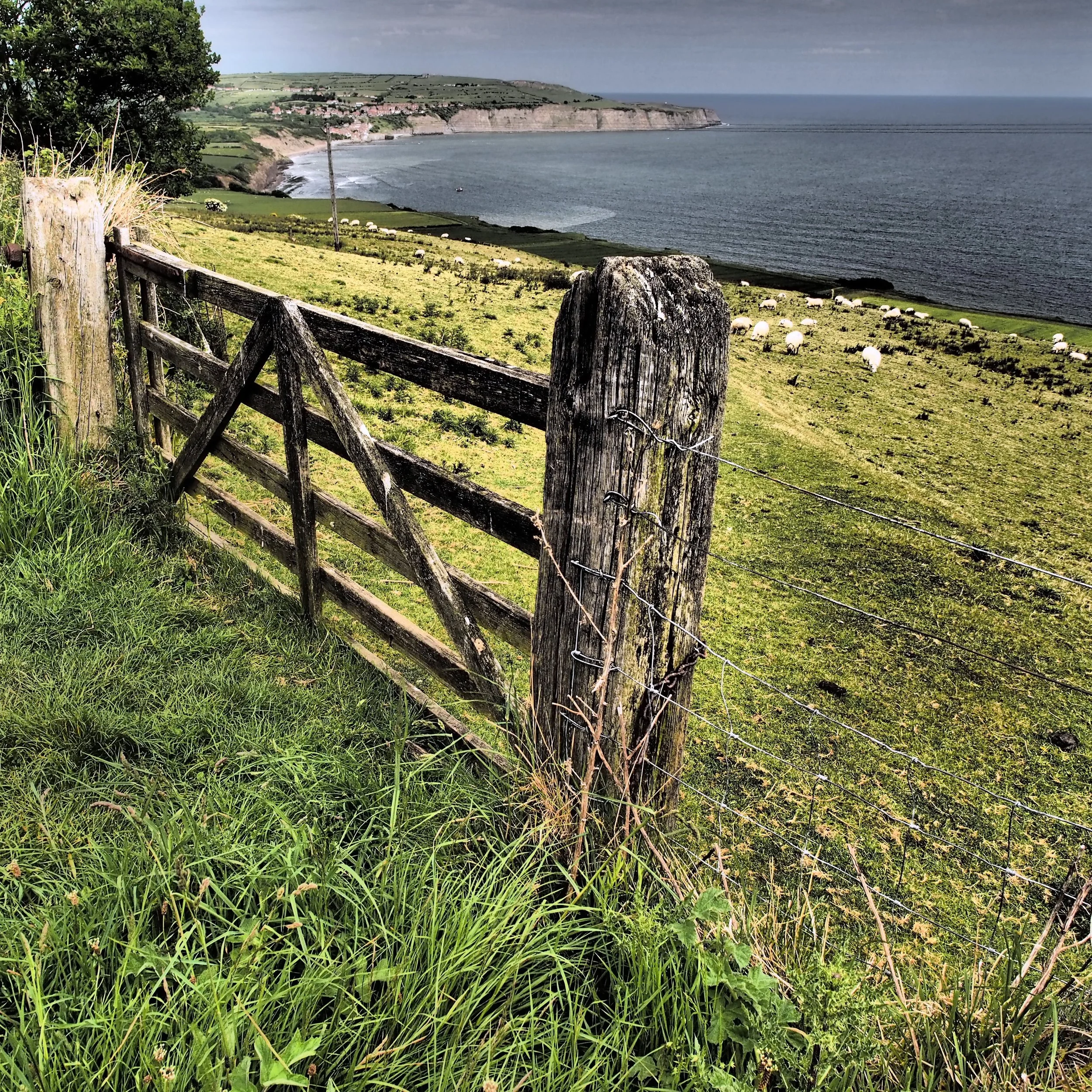 Robin_Hoods_Bay_Gate_June_2015.jpg
