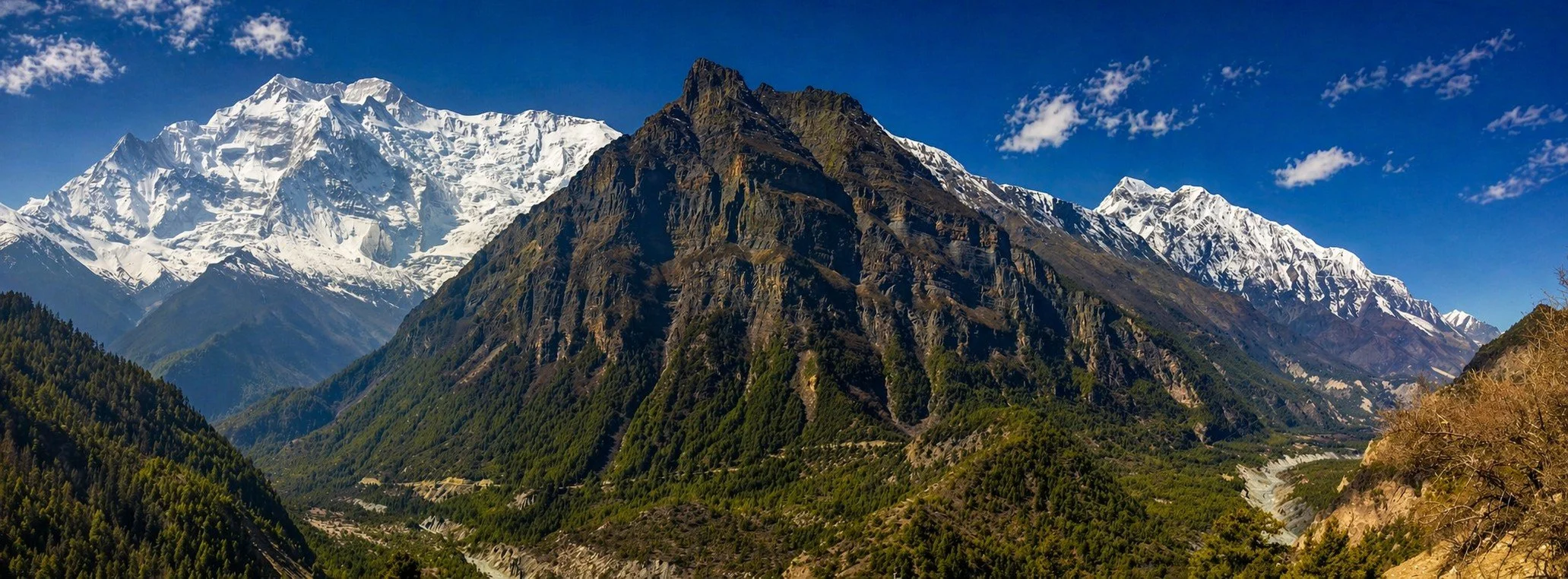 Snow-capped mountains against a blue sky with some clouds, lush green forests on the slopes.
