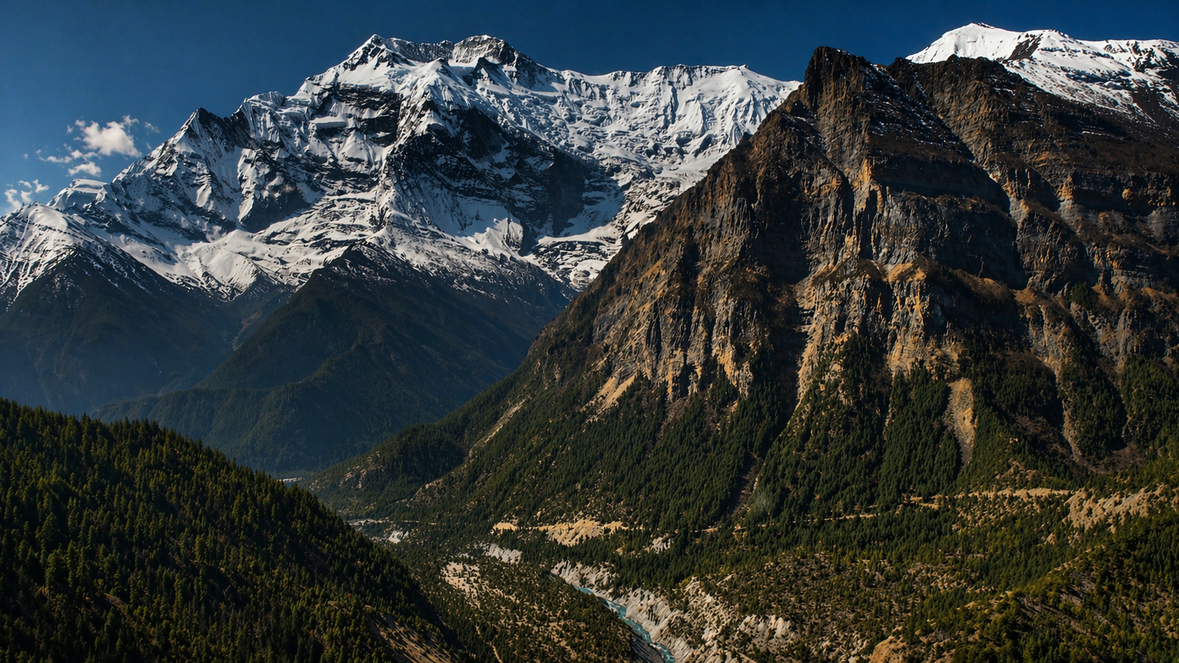 Snow-capped mountains with rugged cliffs and a dense green forest in the foreground.