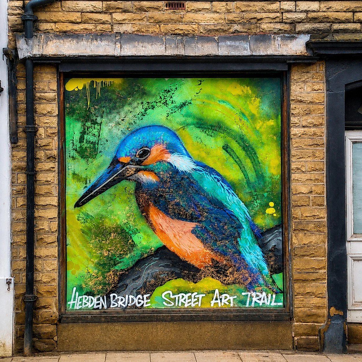 Kingfisher.jpg