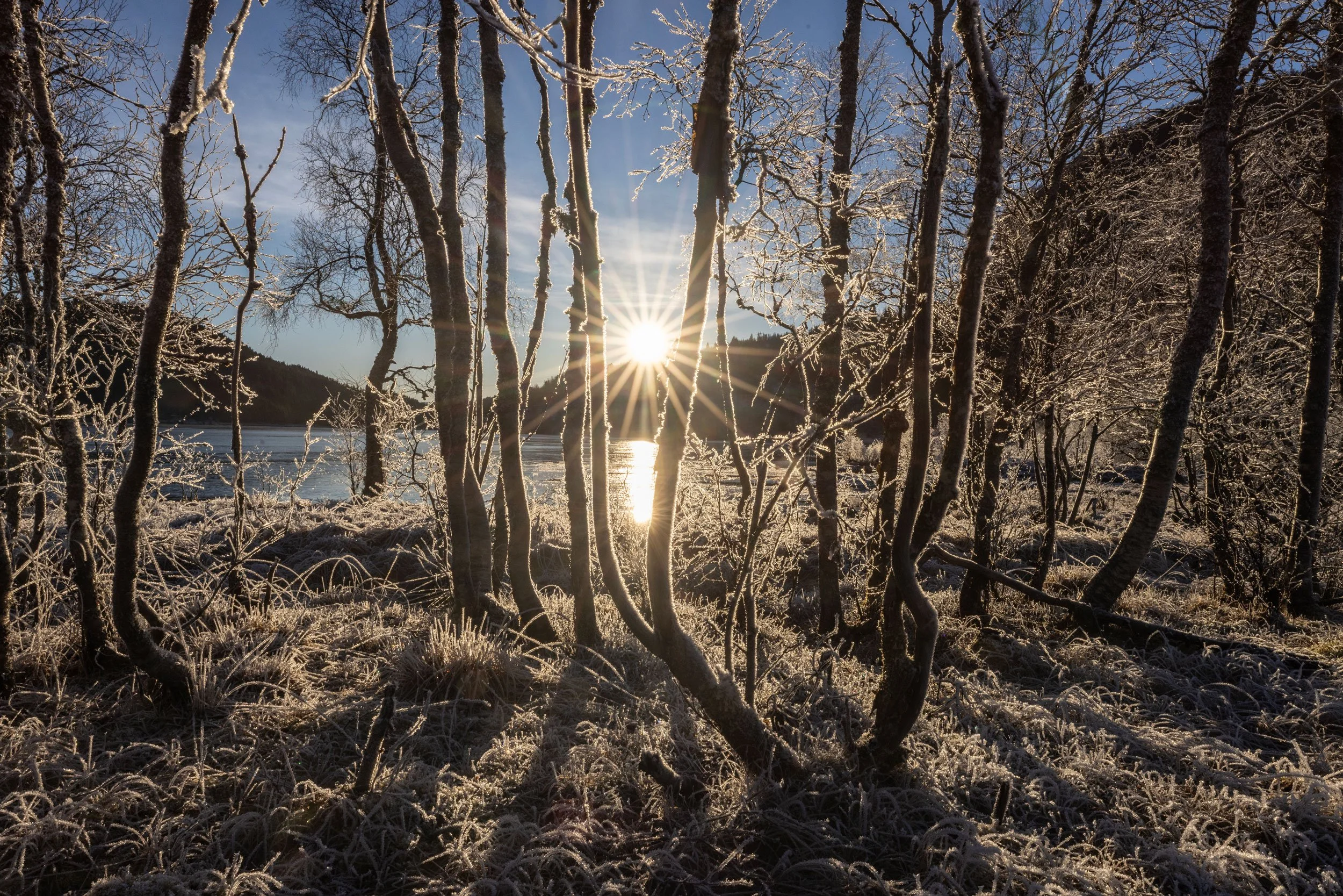 Rimfrost , Fete , Fitjadalen.